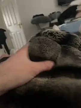 Furdale online show from February 16, 10:21 am