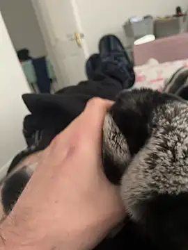 Furdale online show from December 19, 1:07 pm