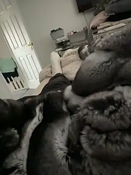 Furdale online show from February 14, 2:56 pm