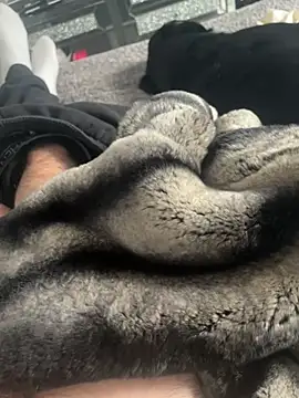 Furdale online show from February 22, 1:23 pm