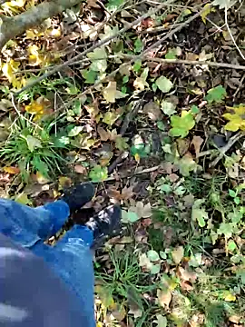 Boring one online show from October 8, 12:20 pm