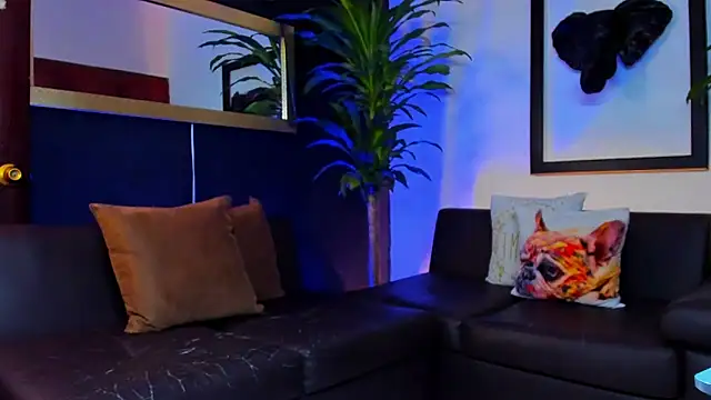 Markboyl online show from February 12, 12:44 pm