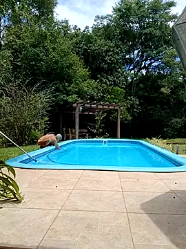 dutra498 online show from February 2, 4:15 pm