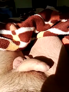 Robertvirt online show from February 16, 10:57 am