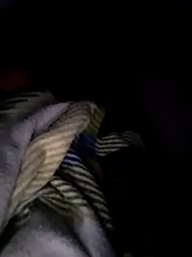 Pitercom online show from February 13, 4:01 pm