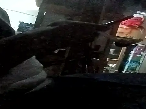 BIG-CkD F online show from November 12, 7:52 pm