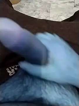 Rajxxxdx4u online show from December 5, 4:31 am