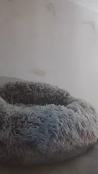 247Srokin online show from December 14, 8:21 am