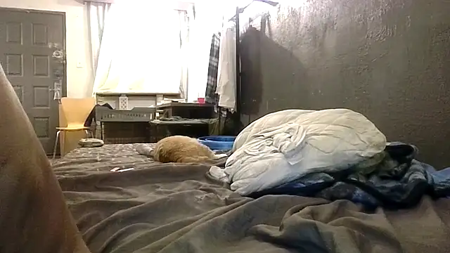 Snapshot of 247Srokin chatting on March 10, 8:17 am 247Srokin online show from March 10, 8:17 am