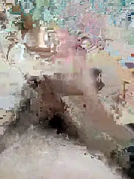 naghmi12 online show from April 5, 12:08 am