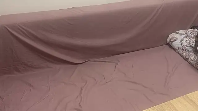 TigerOne19 online show from November 21, 7:57 pm