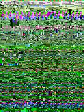 Wolfeman74 online show from July 11, 6:54 pm