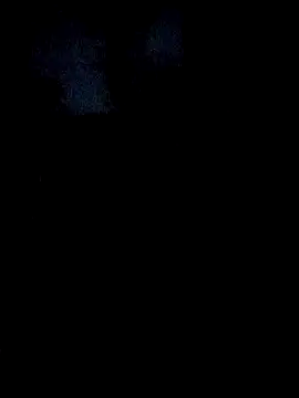 Driver-naru online show from January 18, 4:19 am