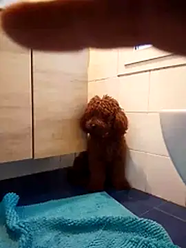 ValentinoRollstars online show from March 18, 4:43 pm