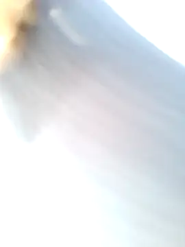 mustican422 online show from February 25, 10:04 am