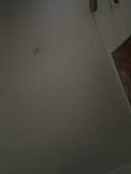 Toyjungee online show from January 17, 12:42 pm