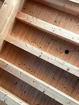 Fellix online show from January 7, 11:15 am