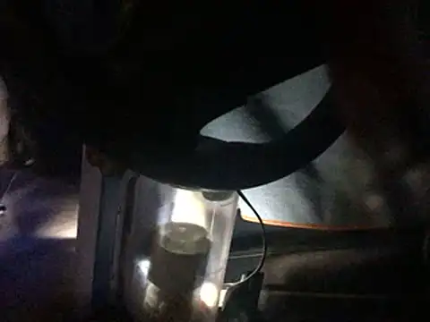 Likewise online show from December 28, 3:27 pm