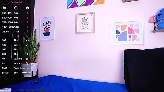 wild col  online show from December 26, 11:43 am