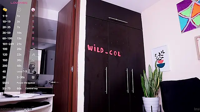 wild col  online show from December 2, 11:05 pm