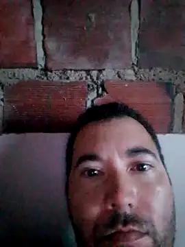 w31 online show from September 9, 3:39 am