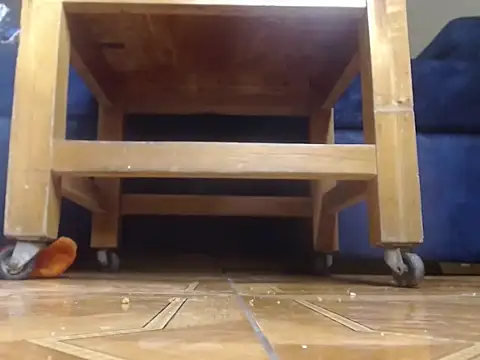 alphaswitchard online show from February 19, 4:20 am