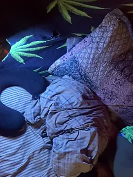 bugboy online show from February 18, 1:59 am