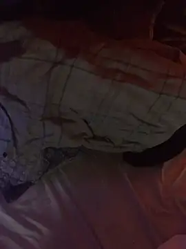 bugboy online show from February 14, 5:13 am