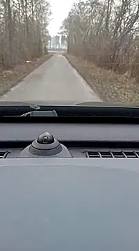 ichgross online show from February 10, 2:37 pm