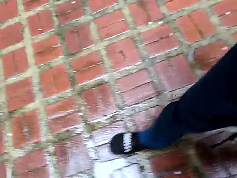 pajpapmgt online show from April 9, 6:00 am