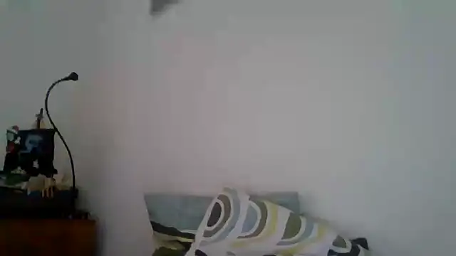 Snapshot of joaodias_97 chatting on February 17, 2:26 pm joaodias 97 online show from February 17, 2:26 pm