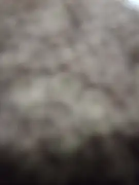 Wedgie boy online show from March 1, 12:10 am