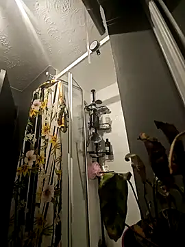 Degusta avo online show from March 15, 2:35 am