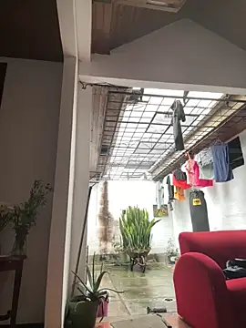 oliver price1 online show from September 30, 3:37 pm