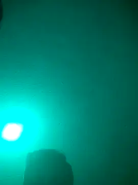 Elcogetuquieres online show from January 7, 7:02 am